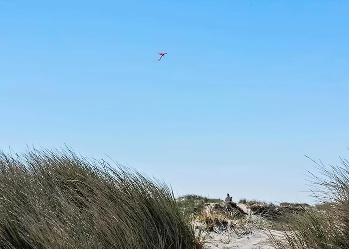 615-hvide-sande-bjerregardsvej-408